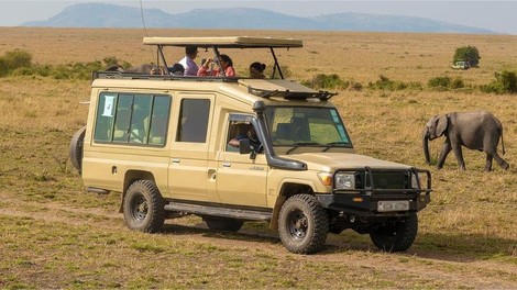 safari