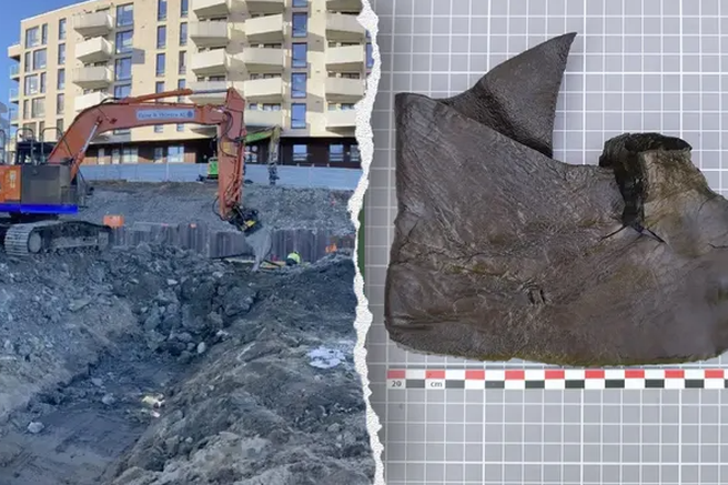 Norveška oslo arheologija kopanje zgodovina ostanki najdba človeštvo