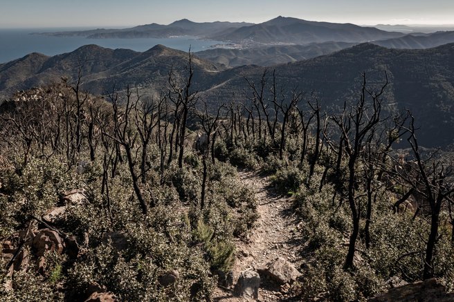 Evropa v plamenih: rekordne emisije, kot jih nismo videli že 23 let