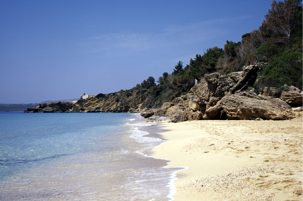 Sprehajalec na hrvaški plaži naletel na osupljiv prizor in komaj verjel svojim očem: vse skupaj je posnel in navdušil znanstvenike (foto: Profimedia)