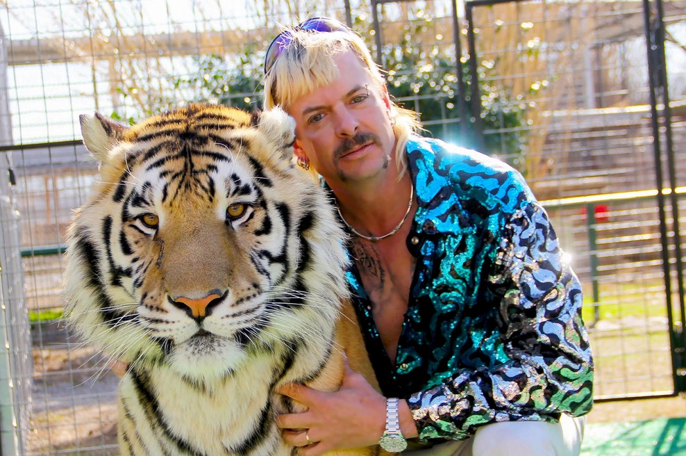 Znanega oskrbnika velikih mačk ubil tiger: sodeloval je tudi z zloglasnim Joejem Exoticom (foto: Profimedia)