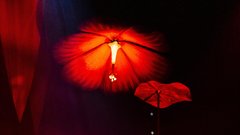 Cirque du Soleil predstava Ovo