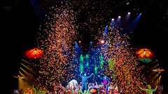 Cirque du Soleil predstava Ovo