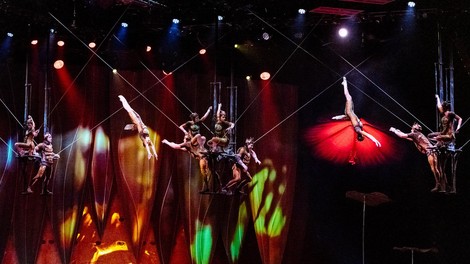 Cirque du Soleil predstava Ovo