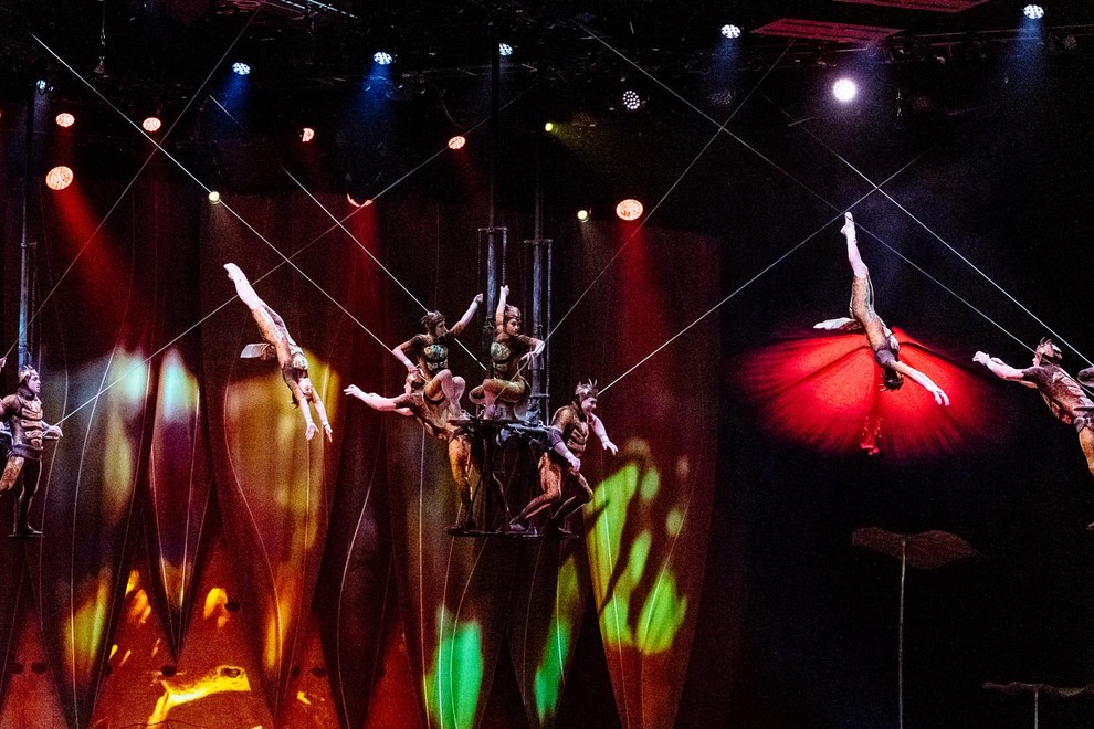 Cirque du Soleil predstava Ovo