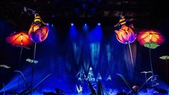 Cirque du Soleil predstava Ovo