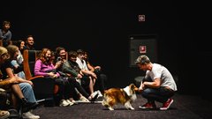Pasja komedija Boštjan Romih