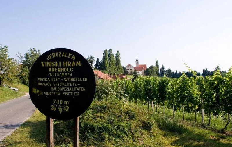 Slovenija Jeruzalem vinograd vino