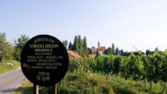 Slovenija Jeruzalem vinograd vino