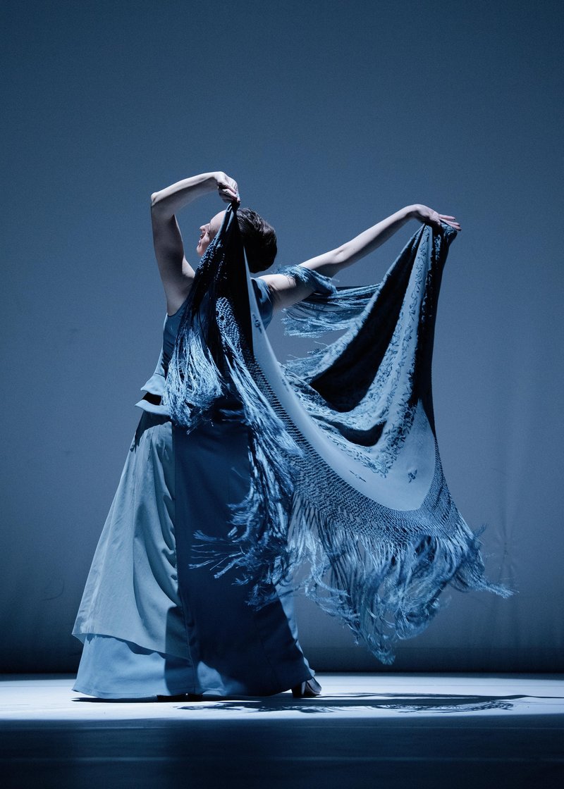 Cikel Noches de Tablao Luz & Mannion Dance: Modri duh
