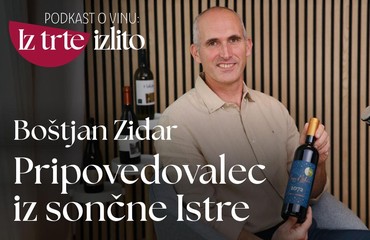 Podkast o vinu: Iz trte izlito I Boštjan Zidar – okusi morja in sonca, ujeti v vsako posamezno steklenico kleti Vinakoper