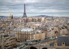 Nova atrakcija, stara umetnost: Pariz piše novo poglavje Picassove zapuščine