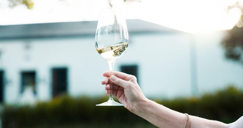 vino pokusanje vin