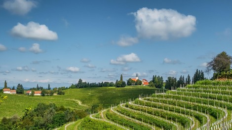 Od ovčje volne do martinovanja: zgodbe, ki so Sloveniji prinesle svetovno priznanje