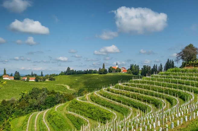 Od ovčje volne do martinovanja: zgodbe, ki so Sloveniji prinesle svetovno priznanje