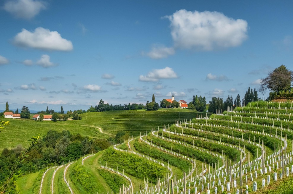 Od ovčje volne do martinovanja: zgodbe, ki so Sloveniji prinesle svetovno priznanje (foto: Profimedia)