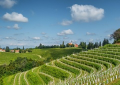 Od ovčje volne do martinovanja: zgodbe, ki so Sloveniji prinesle svetovno priznanje