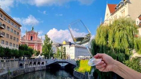 Ljubljana vino Promenada okusov