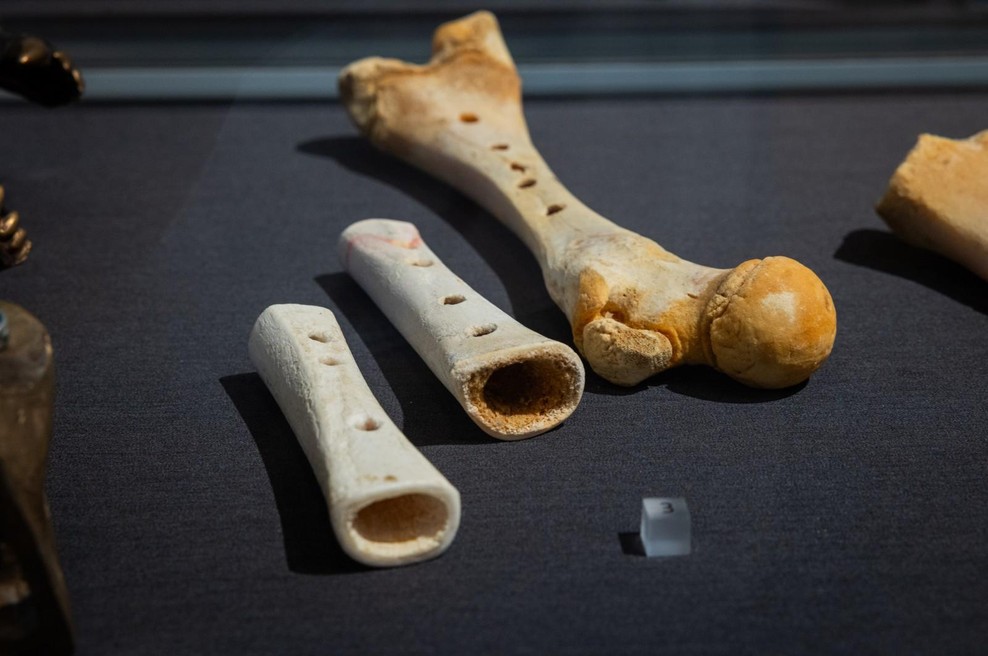 Ideja za izlet: obiščite razstavo o najstarejšem glasbilu (foto: Bor Slana/STA)