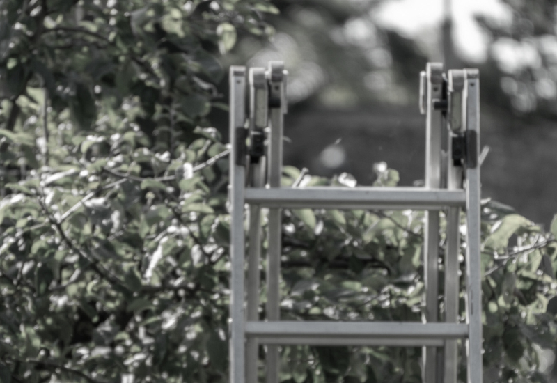 Tragična delovna nesreča: moški umrl po padcu z lestve