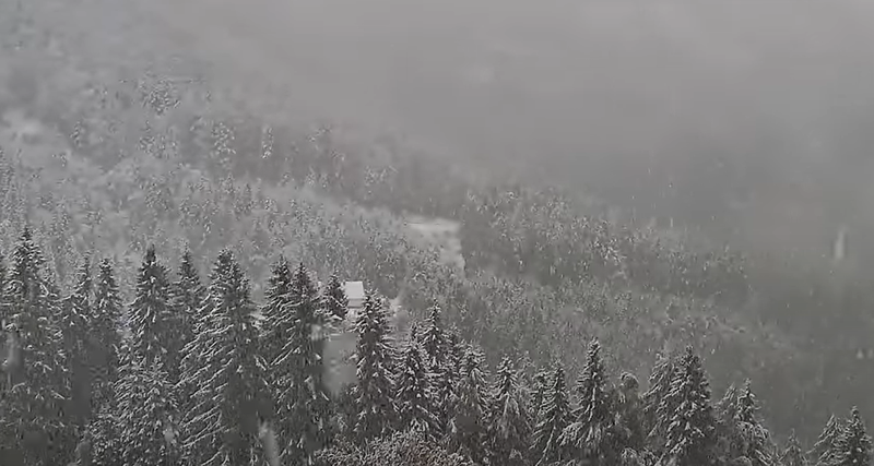 Napovedi so se uresničile: Slovenijo zajela hladna fronta, na Gorenjskem že sneži (FOTO)
