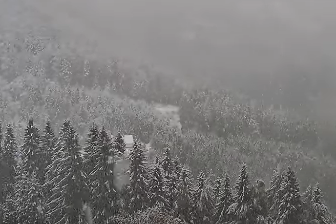 Napovedi so se uresničile: Slovenijo zajela hladna fronta, na Gorenjskem že sneži (FOTO)