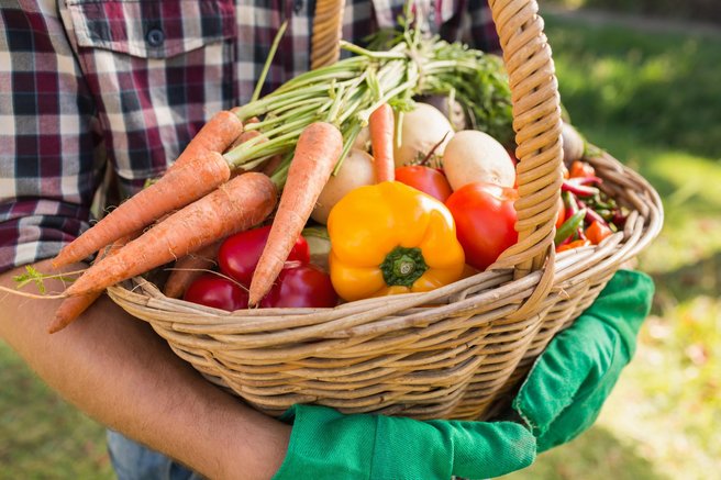 Poročilo razkriva: Slovenija bolj samooskrbna, a ne na vseh področjih