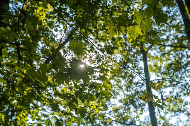 Letošnji september postavlja vprašanja, ki jih ne smemo spregledati