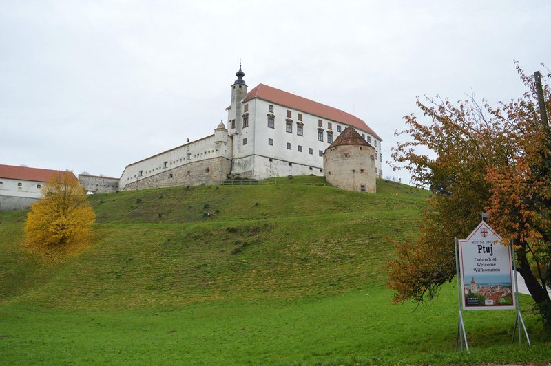 Ptuj Ptujski grad
