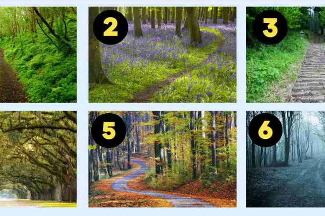 Katero gozdno pot ste izbrali? Psihološki test, ki razkriva vašo osebnost