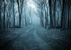 Kamera je ponoči v gozdu posnela zver, za katero so mislili, da je izumrla, saj je niso opazili kar 100 let