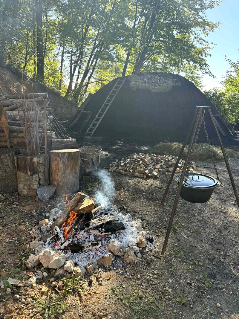 kopa oglarstvo domacija brinovec