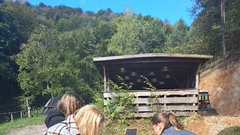 kopa oglarstvo domacija brinovec