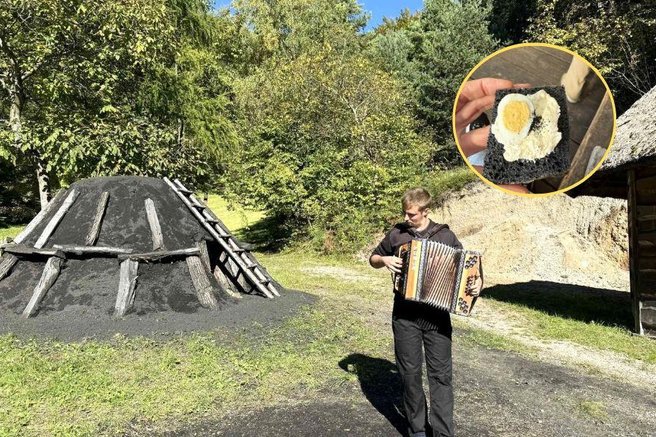 kopa oglarstvo domacija brinovec