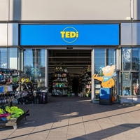 Tedi