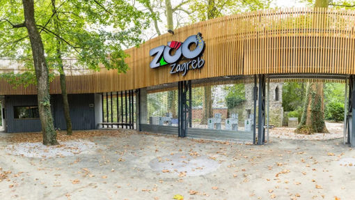 Veselje v zagrebškem živalskem vrtu: skotila sta se mladiča ene najbolj ogroženih vrst na svetu