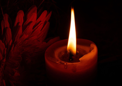 Umrl človek, ki nam je dal legendarnega in nepozabnega akcijskega junaka iz osemdesetih