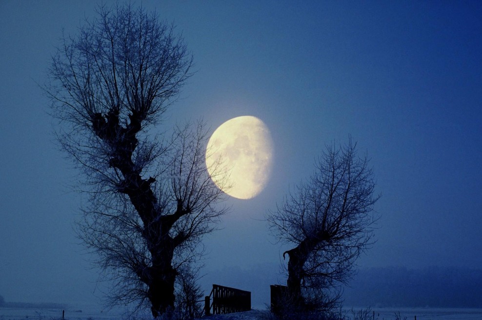 Na Luni se dogaja nekaj nenavadnega: NASA bo zaradi skrivnostnih namigov poslala odpravo na Zemljin naravni satelit (foto: Profimedia)