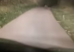 Voznik med večerno vožnjo opazil gibanje: takoj vklopil kamero in posnel skrivnostno bitje na robu gozda (VIDEO)