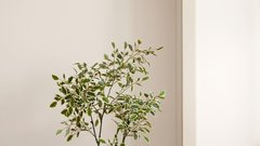 Manj popolnosti, več občutka: organic modern kot filozofija bivanja