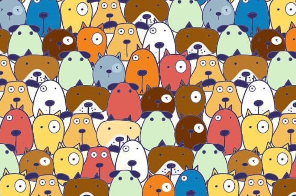 To uganko bodo od desetih ljudi uspešno rešili le trije. Ste med njimi? (foto: Instagram/smartbrainpuzzles)