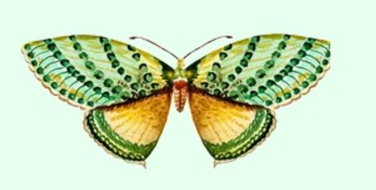 5 Ste mirna oseba, ki nadvse ceni tišino in spokojnost. V svojem življenju iščete ravnovesje in si ves čas prizadevate, …