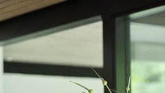 Manj popolnosti, več občutka: organic modern kot filozofija bivanja