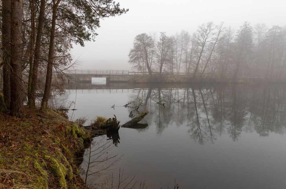 Fotografija je simbolična. (foto: Profimedia)