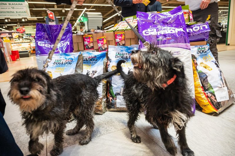 Spar Slovenija hrana priboljški živali