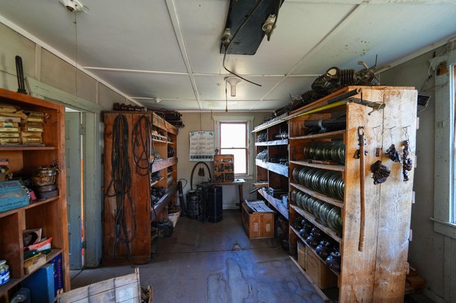 sladisce wales muzej celjust dinozaver zgodovina arheologija znanost odkritje