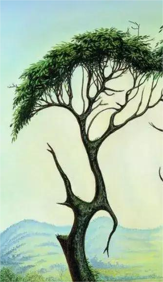 Drevesa Če ste najprej opazili drevesa, to kaže, da ste oseba močnega značaja. Imate nagnjenost k naravi in ste zvesti …