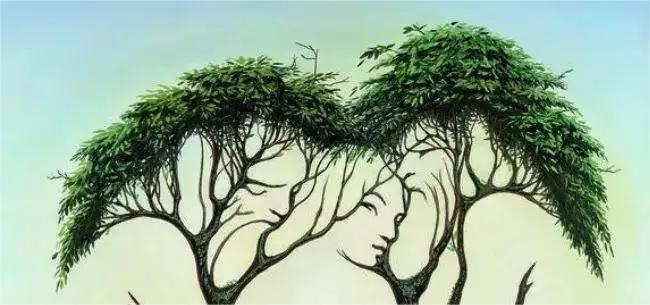 Obrazi v rastlinju Če ste opazili skrite obraze v deblu in rastlinju, to kaže, da vas drugi pogosto narobe razumejo …