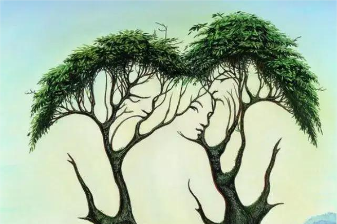 Kaj najprej vidite na sliki? Optična iluzija, ki razkriva skrivnosti vaše osebnosti