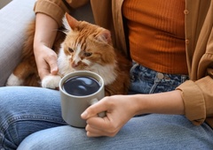 Izogibajo se družbi in ne hodijo ven: ta 4 astro znamenja veljajo za zapečkarje